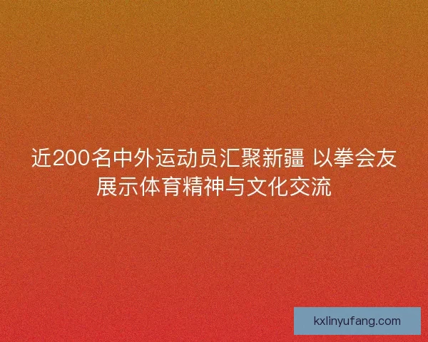 近200名中外运动员汇聚新疆 以拳会友展示体育精神与文化交流